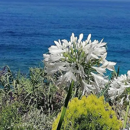 Ikaria Village Maisonette 10 アパート Klorakas