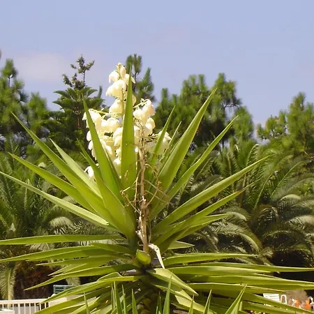 Ikaria Village Maisonette 10 דירה