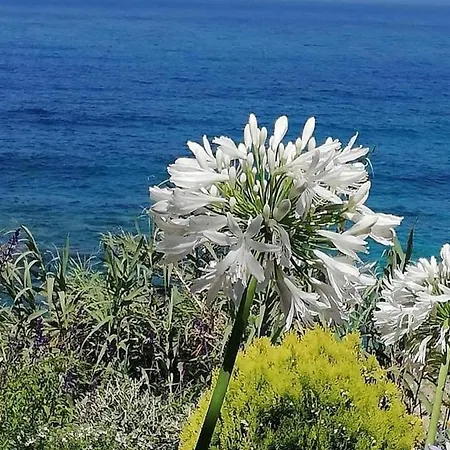 Ikaria Village Maisonette 10 アパート Klorakas