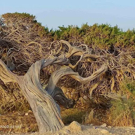 Ikaria Village Maisonette 10 Apartament *