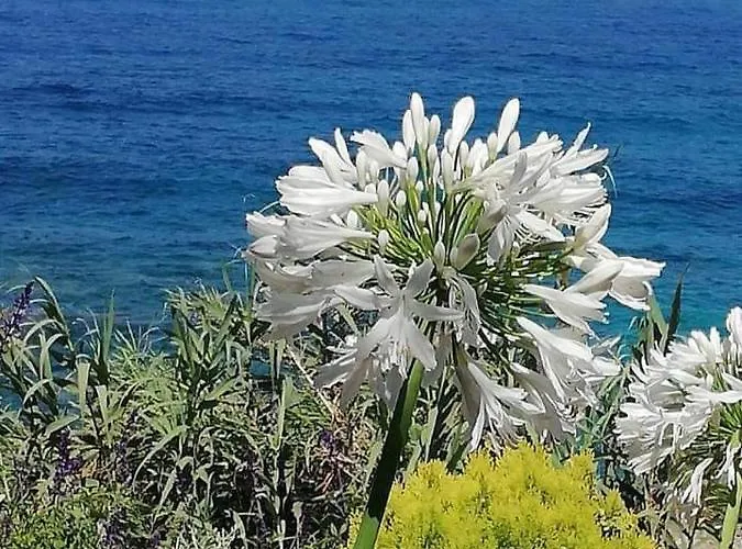 Ikaria Village Maisonette 10 Lägenhet Klorakas