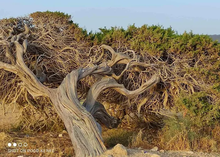 Ikaria Village Maisonette 10 Lejlighed *