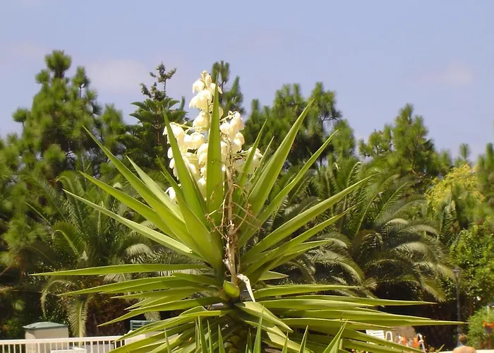 Ikaria Village Maisonette 10 Lägenhet